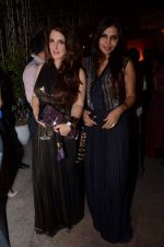 at Party in honour of Ritu Kumar for wining Padma Bhushan hosted by FDCI in Mumbai on 19th March 2013 (14).JPG